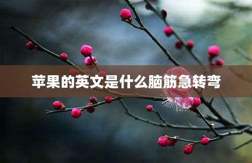 苹果的英文是什么脑筋急转弯