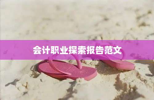 会计职业探索报告范文
