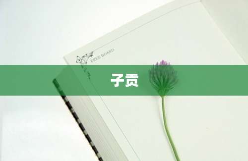 子贡