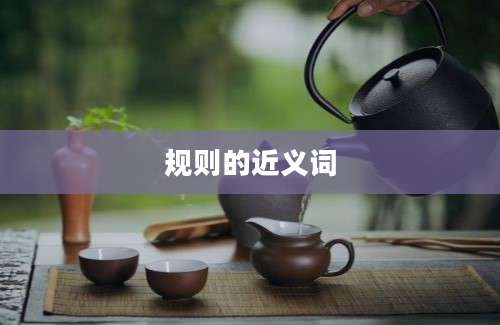 规则的近义词