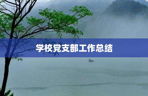 学校党支部工作总结