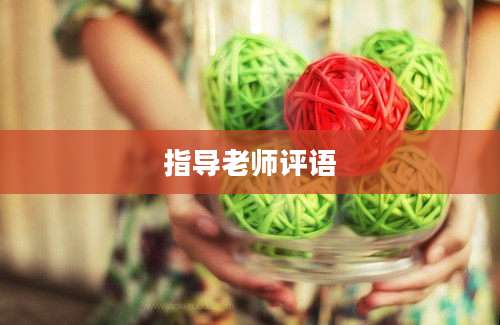 指导老师评语