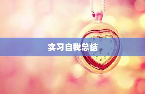 实习自我总结