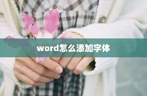 word怎么添加字体