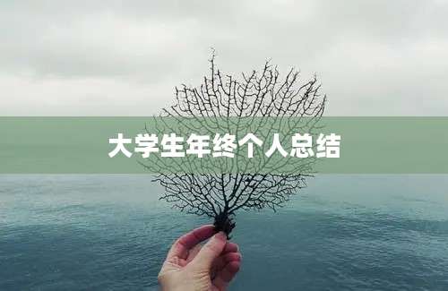 大学生年终个人总结
