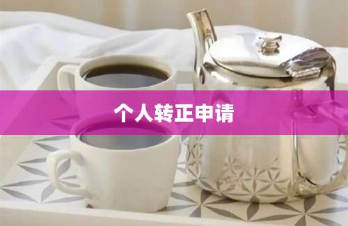 个人转正申请