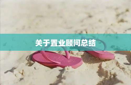 关于置业顾问总结