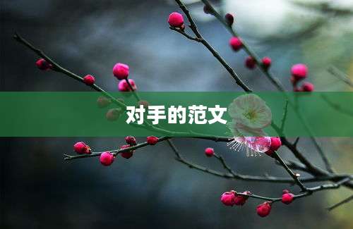 对手的范文