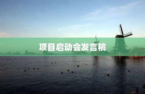 项目启动会发言稿