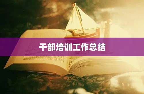 干部培训工作总结