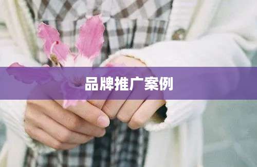品牌推广案例