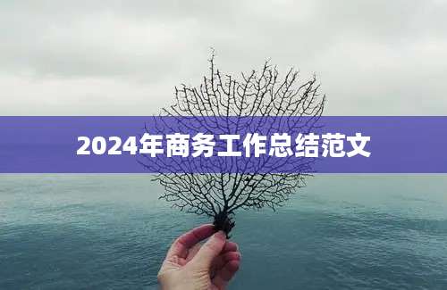 2024年商务工作总结范文