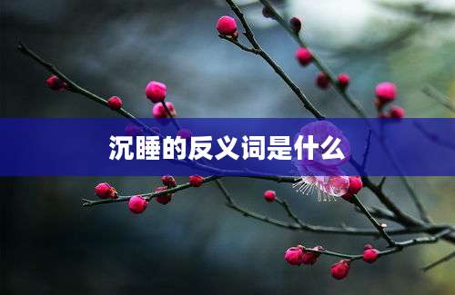 沉睡的反义词是什么