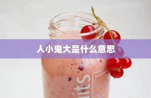 人小鬼大是什么意思