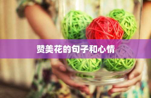 赞美花的句子和心情