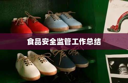 食品安全监管工作总结
