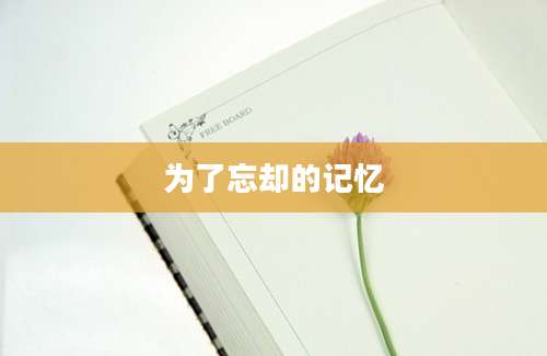 为了忘却的记忆