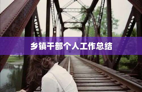 乡镇干部个人工作总结