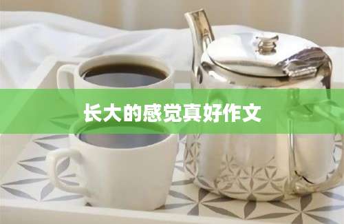 长大的感觉真好作文