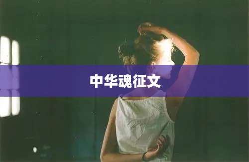 中华魂征文