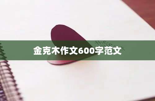 金克木作文600字范文