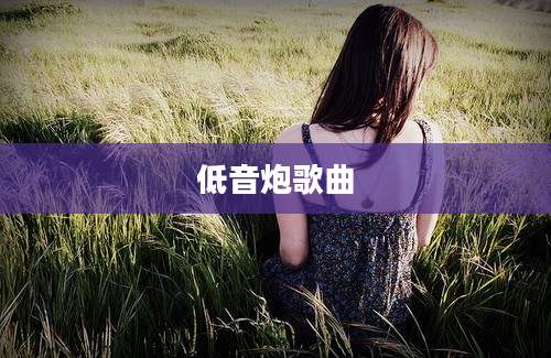 低音炮歌曲
