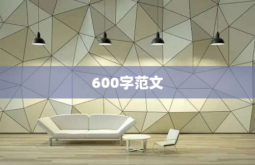 600字范文