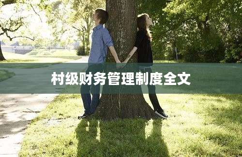 村级财务管理制度全文