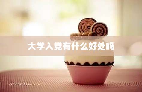 大学入党有什么好处吗