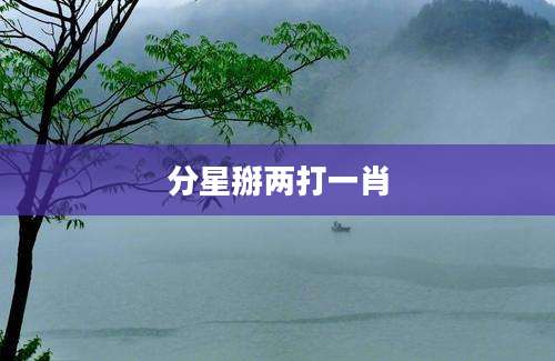 分星掰两打一肖
