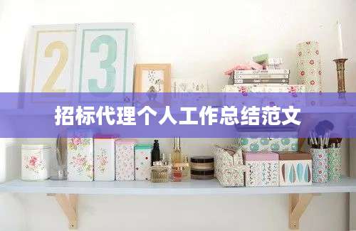 招标代理个人工作总结范文