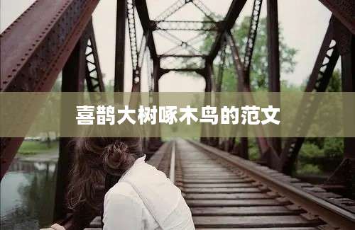 喜鹊大树啄木鸟的范文