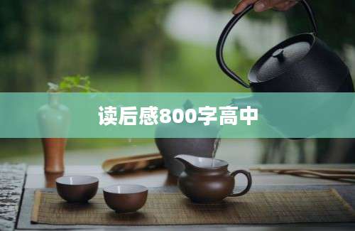 读后感800字高中