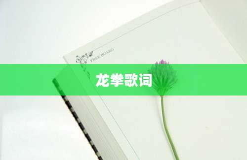 龙拳歌词