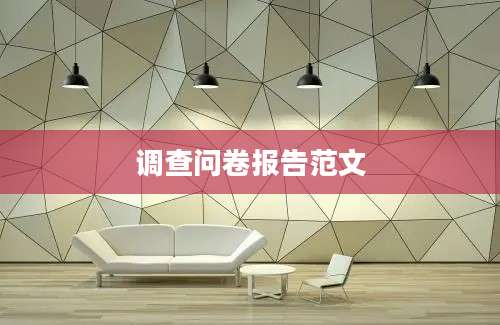 调查问卷报告范文
