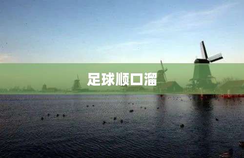 足球顺口溜