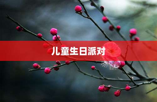 儿童生日派对