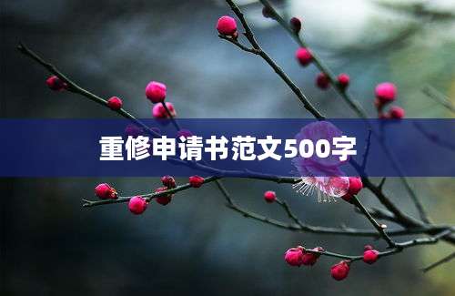 重修申请书范文500字
