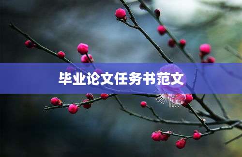 毕业论文任务书范文