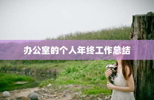 办公室的个人年终工作总结