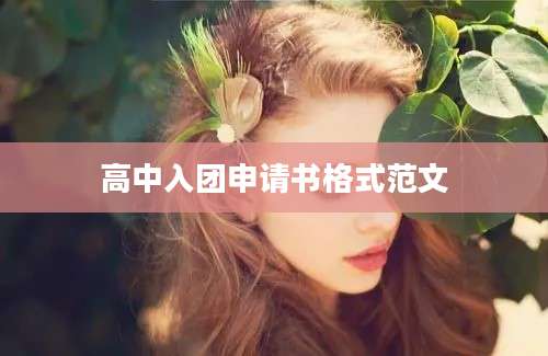 高中入团申请书格式范文