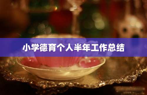 小学德育个人半年工作总结