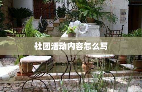 社团活动内容怎么写
