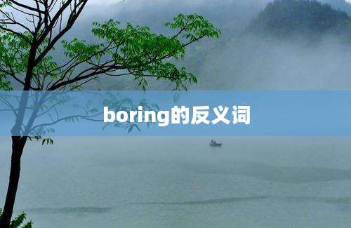 boring的反义词