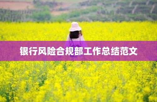 银行风险合规部工作总结范文