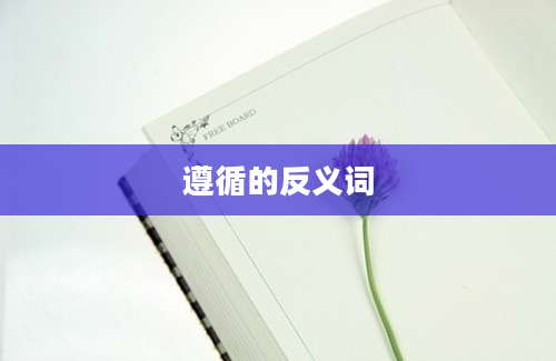遵循的反义词