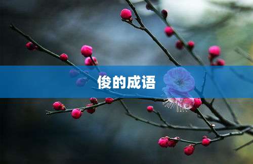 俊的成语