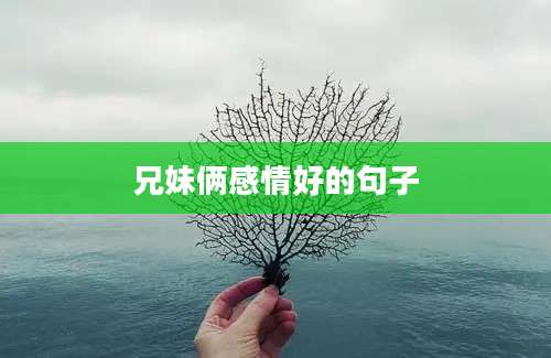 兄妹俩感情好的句子