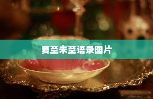 夏至未至语录图片