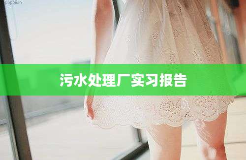 污水处理厂实习报告